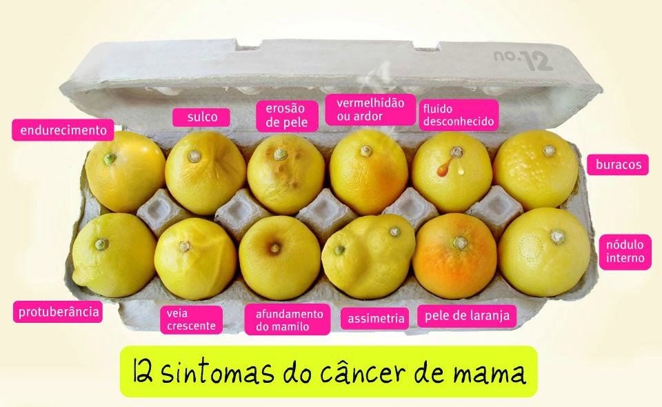 Imagem usada durante atividade do Ceaps apresenta doze sintomas do câncer de mama. Fonte: Clínica da Mama. Link http://www.clinicadamama.com.br/confira-os-sintomas-cancer-de-mama/