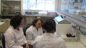 Profissionais durante treinamento no LTN. Foto: Rafaella Arruda.