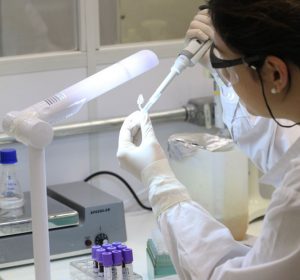 Processo de extração de DNA de amostra de sangue realizado no LGBM. Foto: Bruna Carvalho.