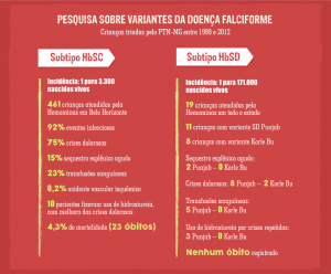 infografico_site